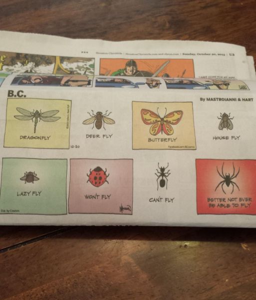 morning picdump 57 pics 7.html - 57 HD Photos | Premium Gallery 2013