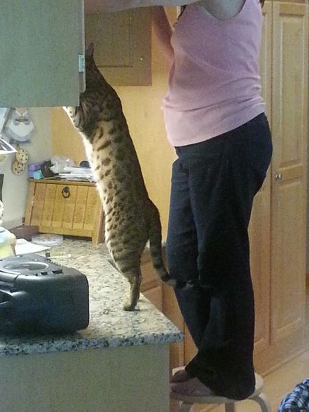 morning picdump 57 pics 28.html - 57 HD Photos | Premium Gallery 2013