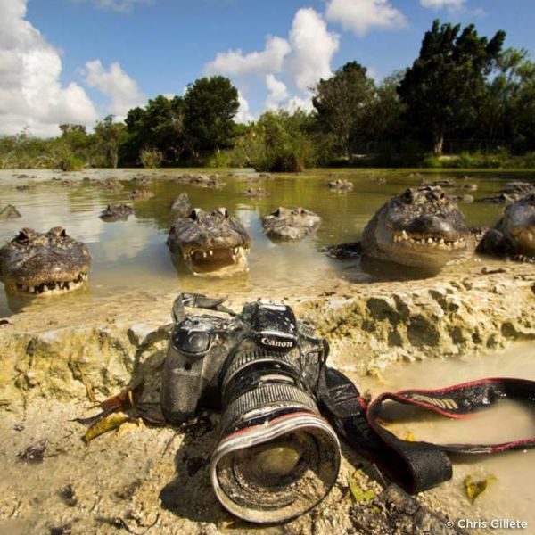 morning picdump 55 pics 13.html - 55 HD Photos | Premium Gallery 2013