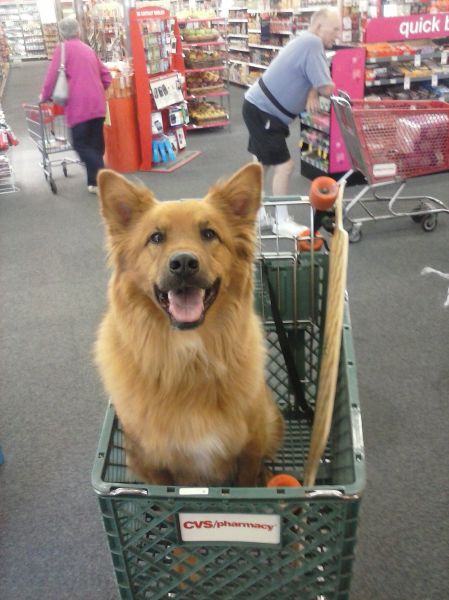 morning picdump 55 pics 13.html - 55 HD Photos | Premium Gallery 2013