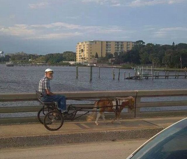 morning picdump 54 pics 22.html - 54 HD Photos | Premium Gallery 2013