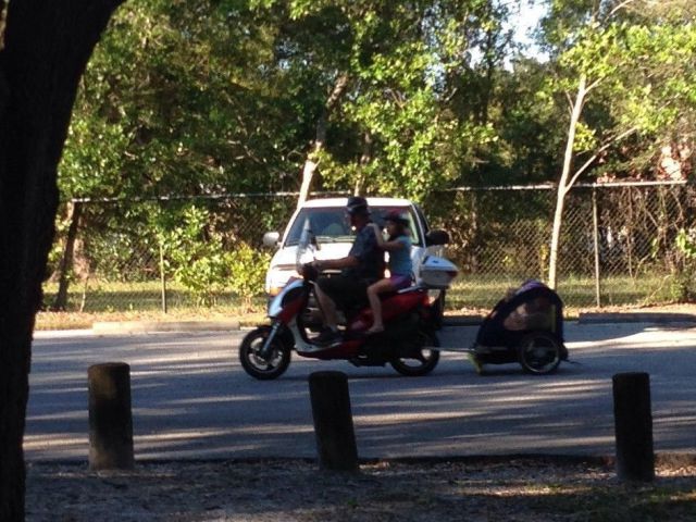 morning picdump 55 pics 17.html - 55 HD Photos | Premium Gallery 2013