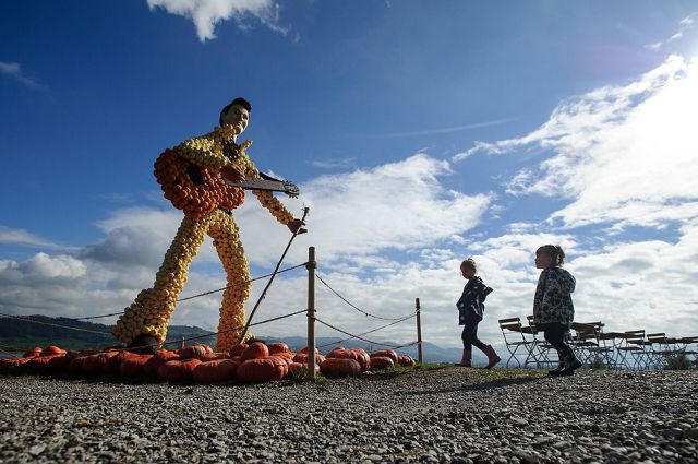 morning picdump 55 pics 17.html - 55 HD Photos | Premium Gallery 2013