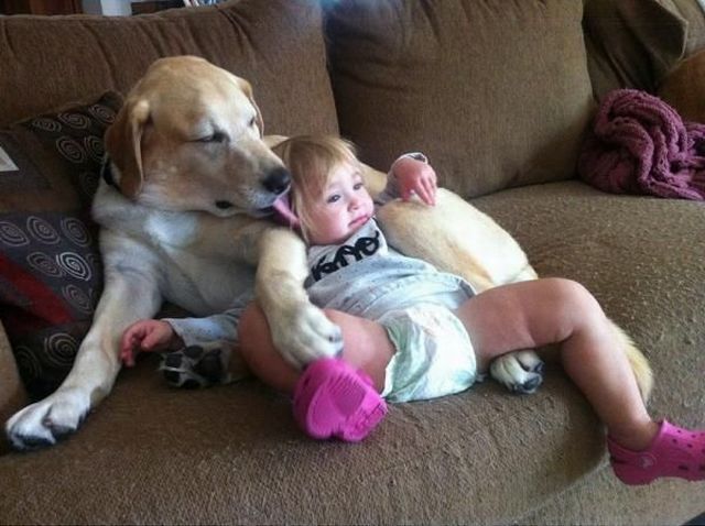 morning picdump 55 pics 17.html - 55 HD Photos | Premium Gallery 2013