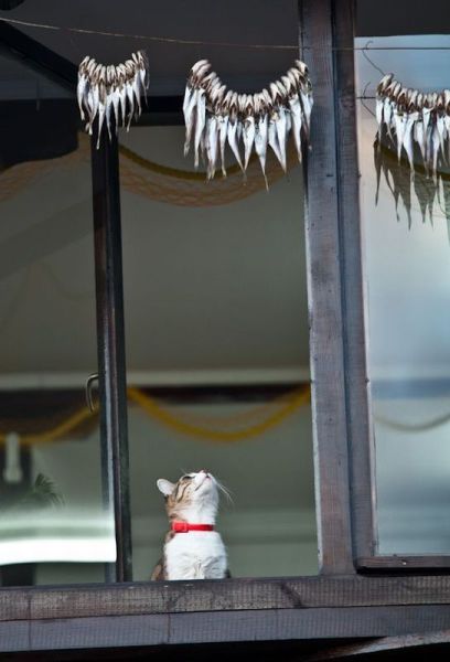 morning picdump 55 pics 17.html - 55 HD Photos | Premium Gallery 2013