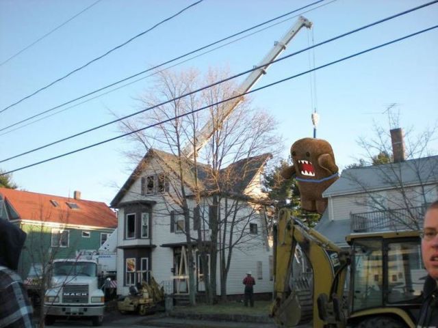 morning picdump 57 pics 28.html - 57 HD Photos | Premium Gallery 2013