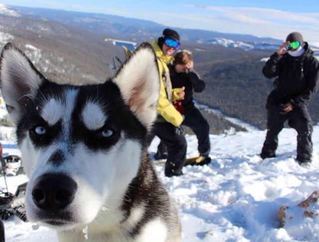 morning picdump 57 pics 28.html - 57 HD Photos | Premium Gallery 2013