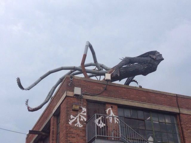 morning picdump 57 pics 28.html - 57 HD Photos | Premium Gallery 2013