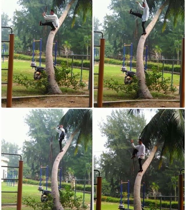 morning picdump 57 pics 28.html - 57 HD Photos | Premium Gallery 2013