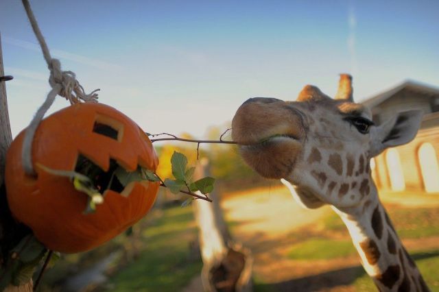 morning picdump 53 pics 8.html - 53 HD Photos | Premium Gallery 2013