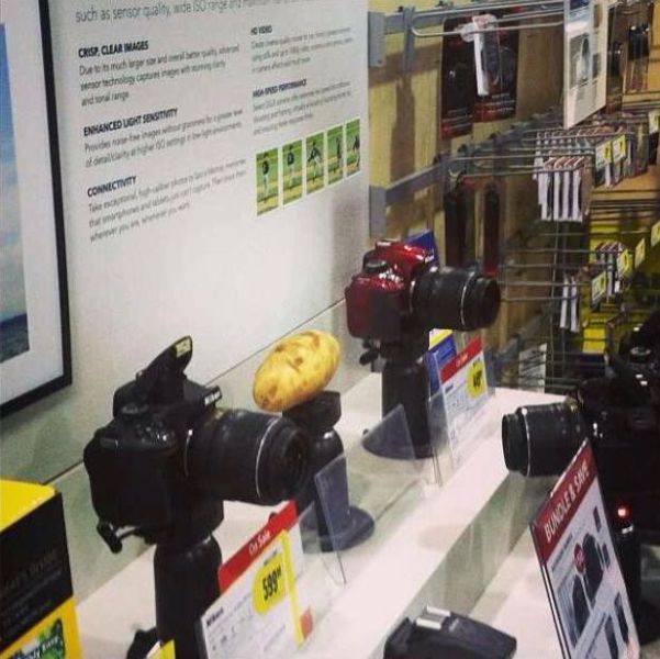 morning picdump 53 pics 8.html - 53 HD Photos | Premium Gallery 2013