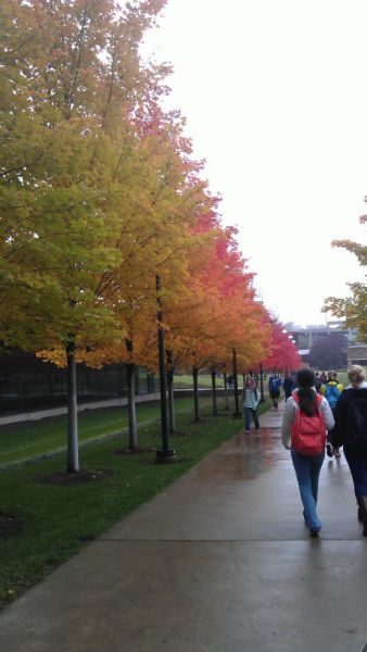 morning picdump 53 pics 8.html - 53 HD Photos | Premium Gallery 2013