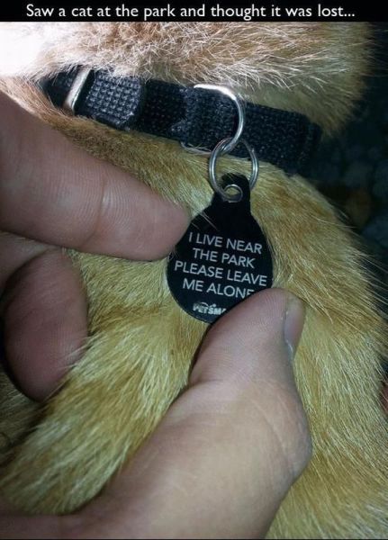 morning picdump 56 pics 2.html - 56 HD Photos | Premium Gallery 2013