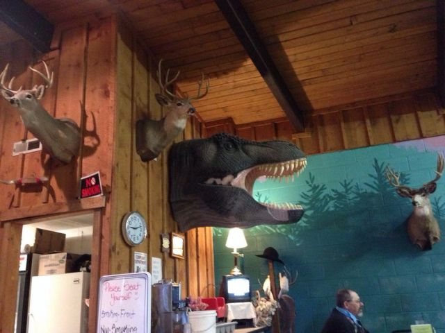 morning picdump 56 pics 18.html - 56 HD Photos | Premium Gallery 2013