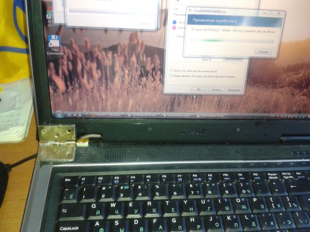 morning picdump 56 pics 18.html - 56 HD Photos | Premium Gallery 2013