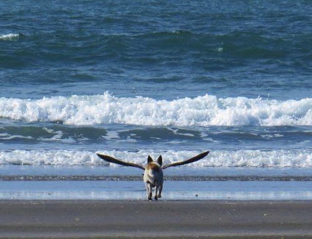 morning picdump 52 pics 2.html - 52 HD Photos | Premium Gallery 2013