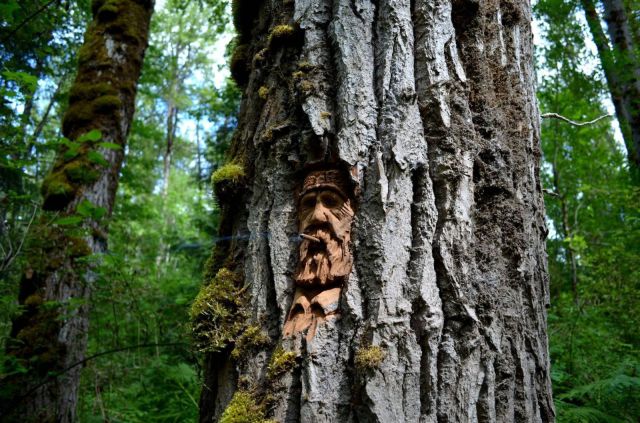 morning picdump 52 pics 2.html - 52 HD Photos | Premium Gallery 2013