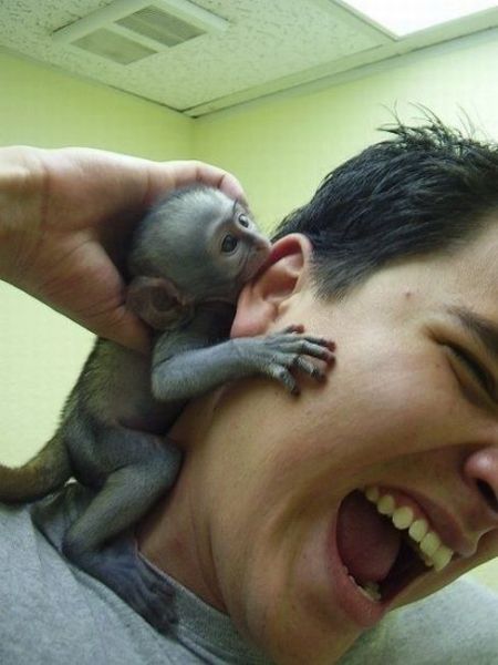 Daily Picdump [WEEKEND EDITION]