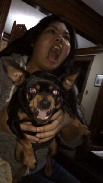 Daily Picdump [WEEKEND EDITION]