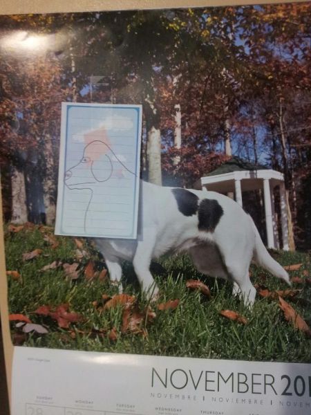 daily picdump weekend edition 95 pics 1.html - 95 HD Photos | Premium Gallery 2013