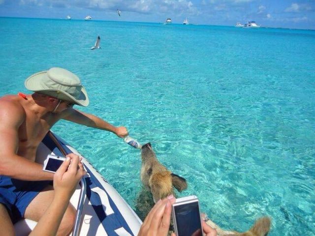 daily picdump weekend edition 95 pics 1.html - 95 HD Photos | Premium Gallery 2013