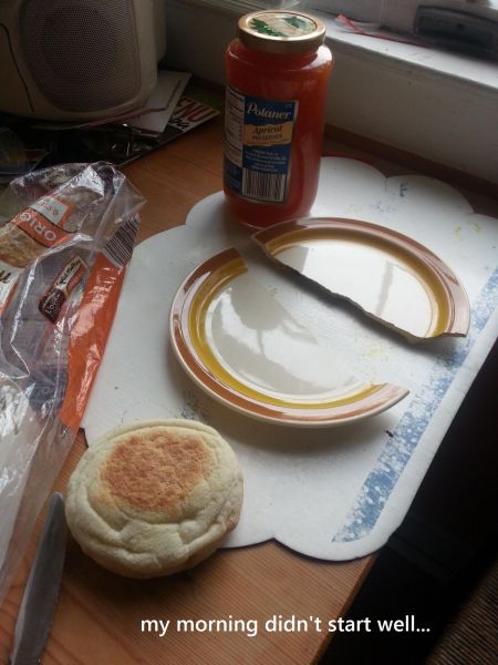 morning picdump 56 pics 8.html - 56 HD Photos | Premium Gallery 2013