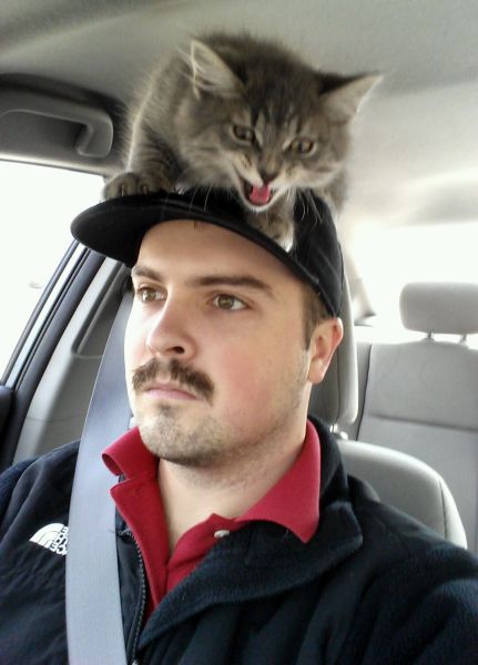 morning picdump 56 pics 8.html - 56 HD Photos | Premium Gallery 2013