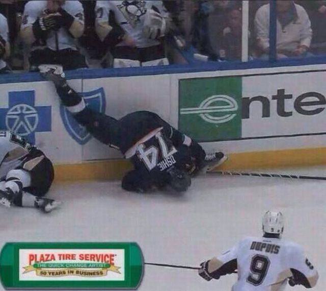 morning picdump 56 pics 8.html - 56 HD Photos | Premium Gallery 2013