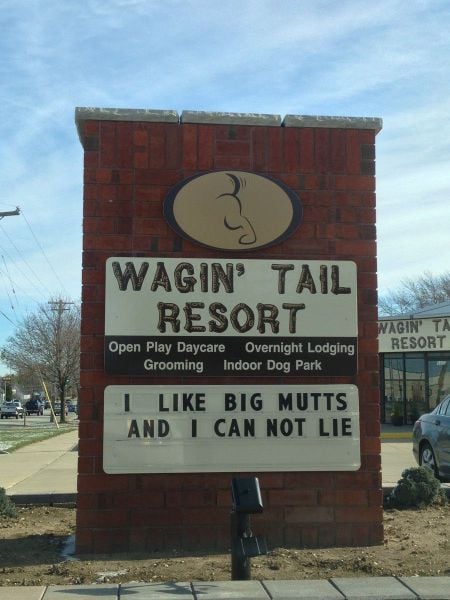 morning picdump 54 pics 27.html - 54 HD Photos | Premium Gallery 2013