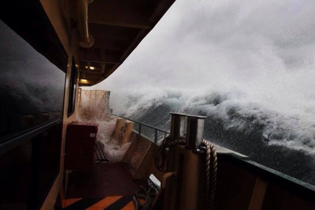 morning picdump 55 pics 28.html - 55 HD Photos | Premium Gallery 2013