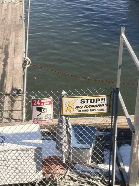 morning picdump 55 pics 28.html - 55 HD Photos | Premium Gallery 2013