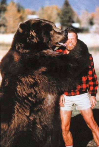 morning picdump 55 pics 28.html - 55 HD Photos | Premium Gallery 2013