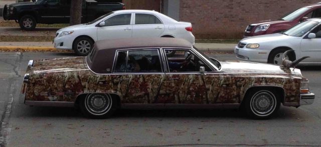 morning picdump 53 pics 2.html - 53 HD Photos | Premium Gallery 2013