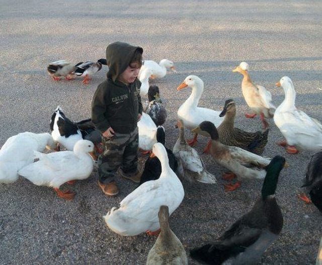 morning picdump 51 pics 25.html - 51 HD Photos | Premium Gallery 2013