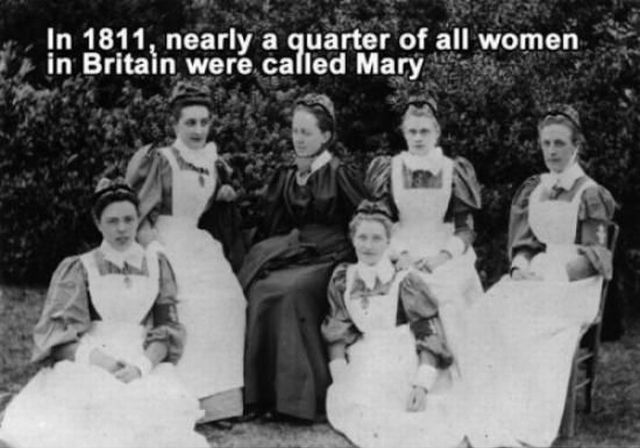 morning picdump 51 pics 25.html - 51 HD Photos | Premium Gallery 2013