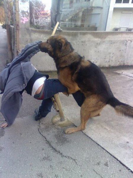 morning picdump 51 pics 25.html - 51 HD Photos | Premium Gallery 2013