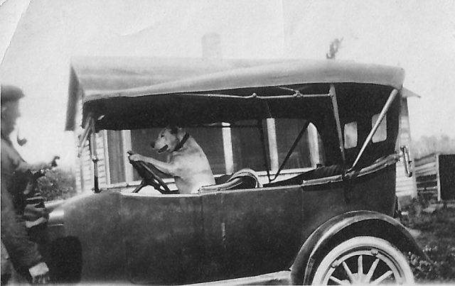 morning picdump 51 pics 25.html - 51 HD Photos | Premium Gallery 2013