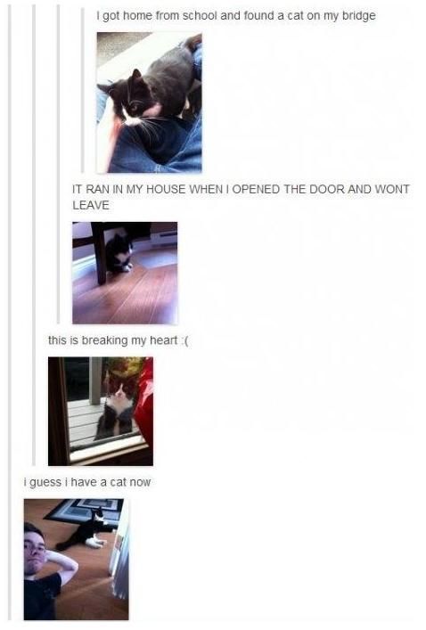 morning picdump 51 pics 25.html - 51 HD Photos | Premium Gallery 2013