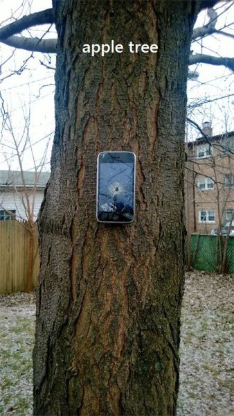 morning picdump 50 pics 17.html - 50 HD Photos | Premium Gallery 2013