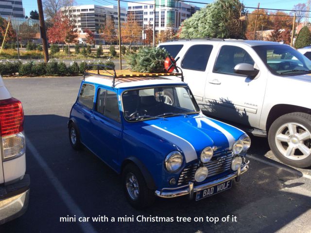 morning picdump 50 pics 17.html - 50 HD Photos | Premium Gallery 2013