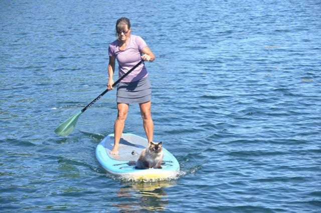 morning picdump 50 pics 17.html - 50 HD Photos | Premium Gallery 2013