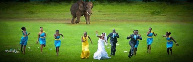 daily picdump 95 pics 33.html - 95 HD Photos | Premium Gallery 2013