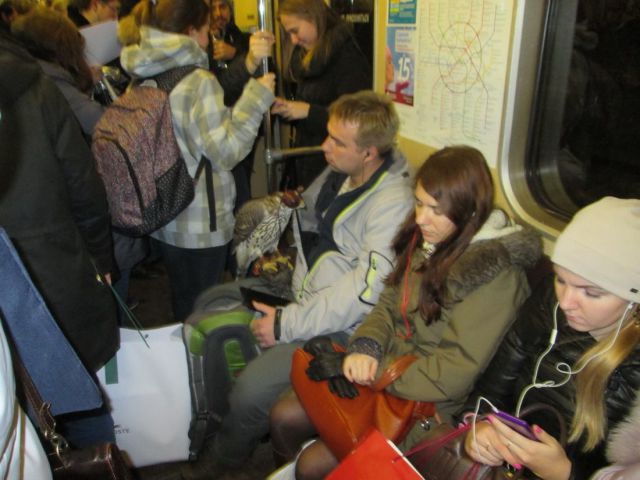 daily picdump 95 pics 33.html - 95 HD Photos | Premium Gallery 2013