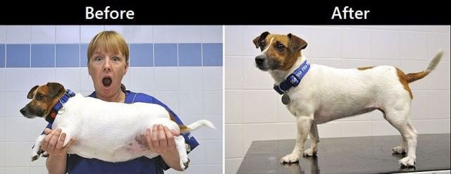 daily picdump 95 pics 33.html - 95 HD Photos | Premium Gallery 2013