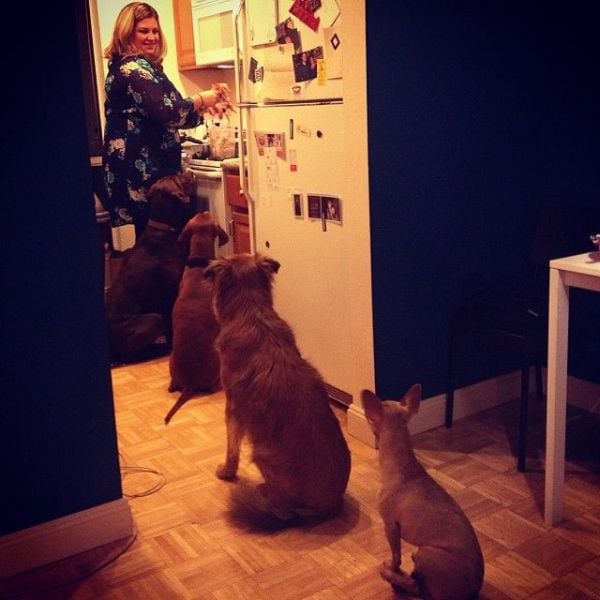 daily picdump 95 pics 33.html - 95 HD Photos | Premium Gallery 2013