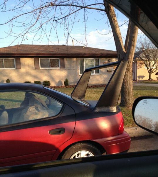 Daily Picdump [WEEKEND EDITION]