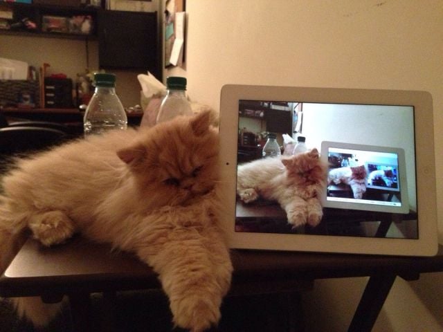 Daily Picdump [WEEKEND EDITION]