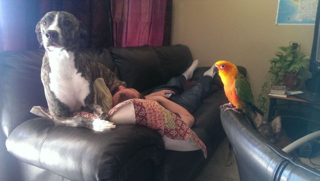 daily picdump weekend edition 94 pics 35.html - 94 HD Photos | Premium Gallery 2013