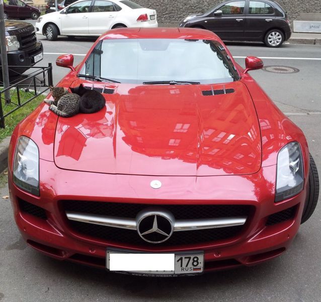 daily picdump weekend edition 94 pics 35.html - 94 HD Photos | Premium Gallery 2013