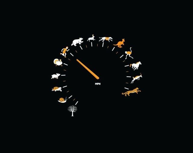 daily picdump weekend edition 94 pics 35.html - 94 HD Photos | Premium Gallery 2013